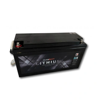 SKANBATT Bluetooth Lithium Batteri 24V 100ah 100a BMS